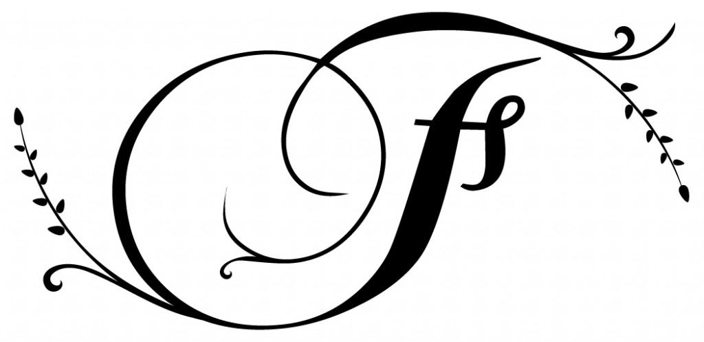 FS logo